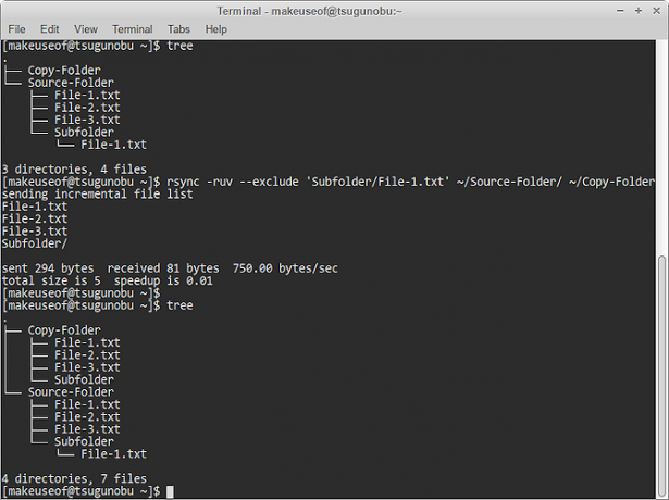 specifična izključitev za rsync