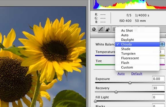 adobe camera raw prenos