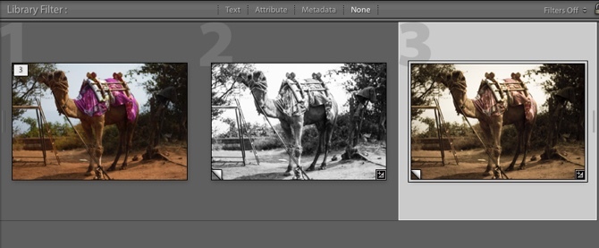 Lightroom - navidezne kopije z uporabljenimi popravki