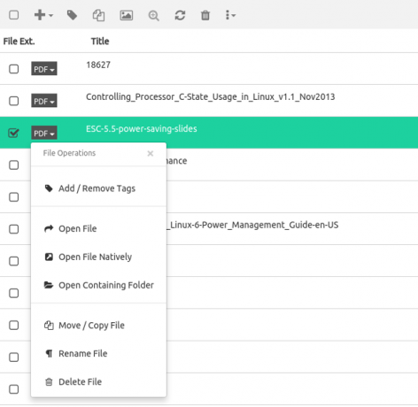 tagpaces-file-options