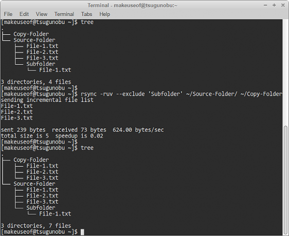 izključitev mape rsync