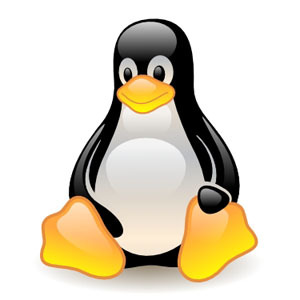 Linux ukazi