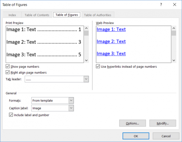 Preprost vodič po zavihku Microsoft Word References MSWord TOFformat