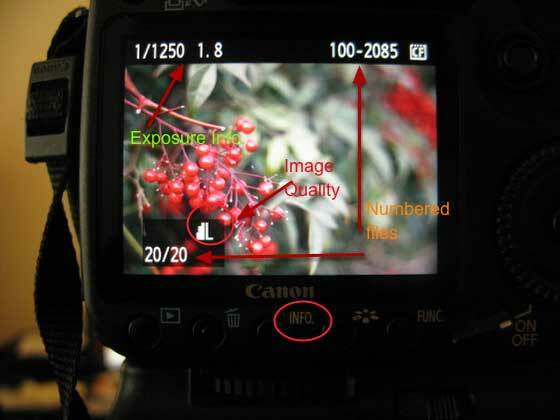 kako uporabljati predvajanje slike na digitalnem fotoaparatu