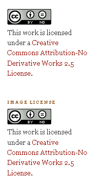 vrste licenc Creative Commons