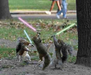 5 spletnih mest za brezplačne spletne igre Star Wars squirrellightsaber