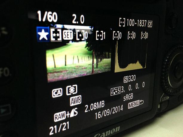 Ocena slike v fotoaparatu DSLR