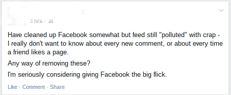Facebook-onesnaženo
