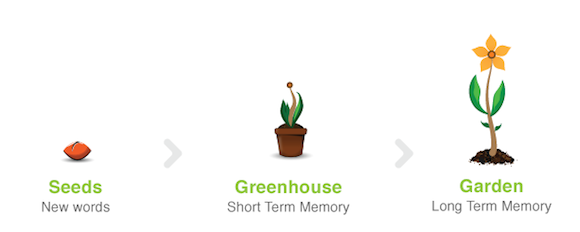 Memrise-Garden-Process naučiti se tujega jezika