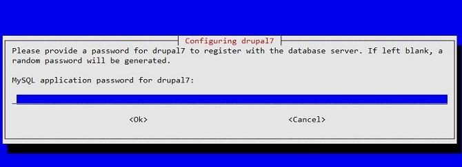 Drupal vs WordPress: Najboljši odprtokodni CMS je… - Drupal Namestitev